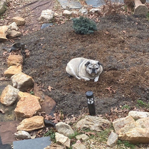 Meet your Posher, Lance - Picture 3 of 11